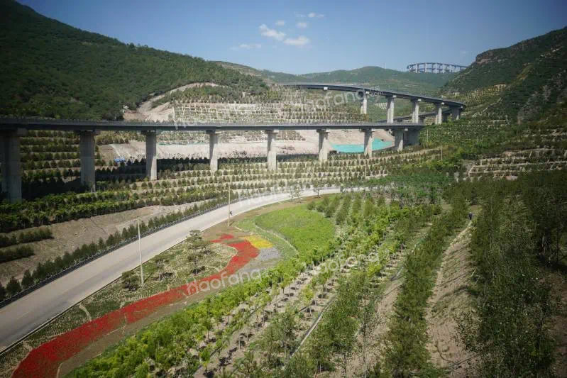 还绿玉山,人工加自然,来天龙山打卡领会锦绣太原
