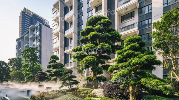 悅瀾山實(shí)景圖