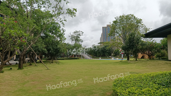 湖心金茂悅實(shí)景圖