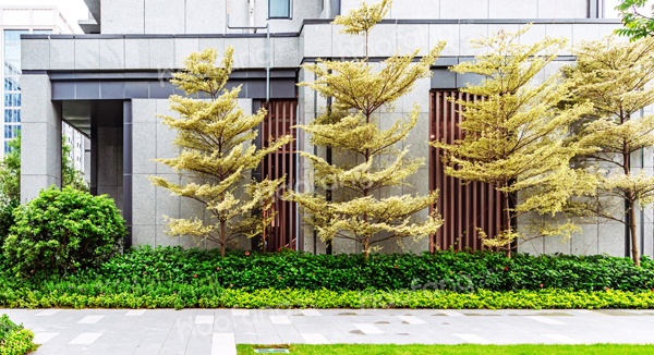 仁恒河濱花園實景圖