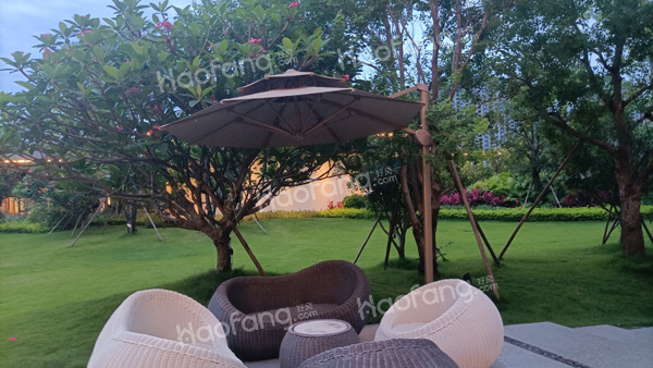 湖心金茂悅實(shí)景圖