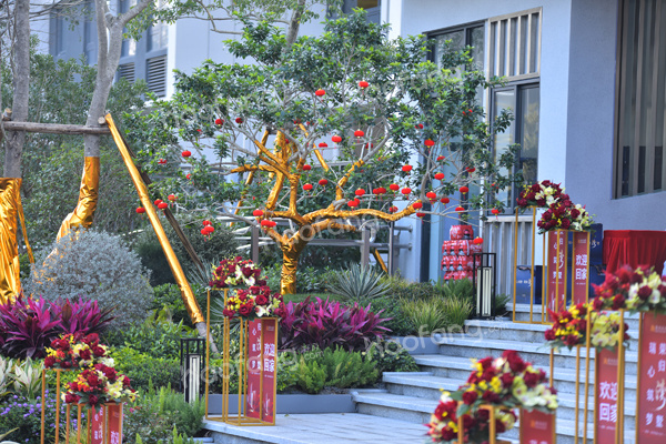 鵬瑞海玥灣實景圖