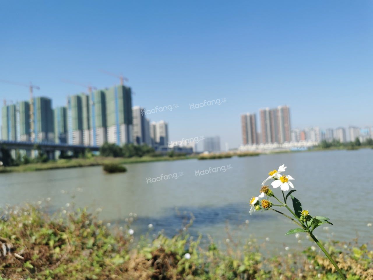 锦绣海湾城实景图