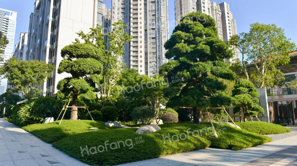 悅瀾山實(shí)景圖