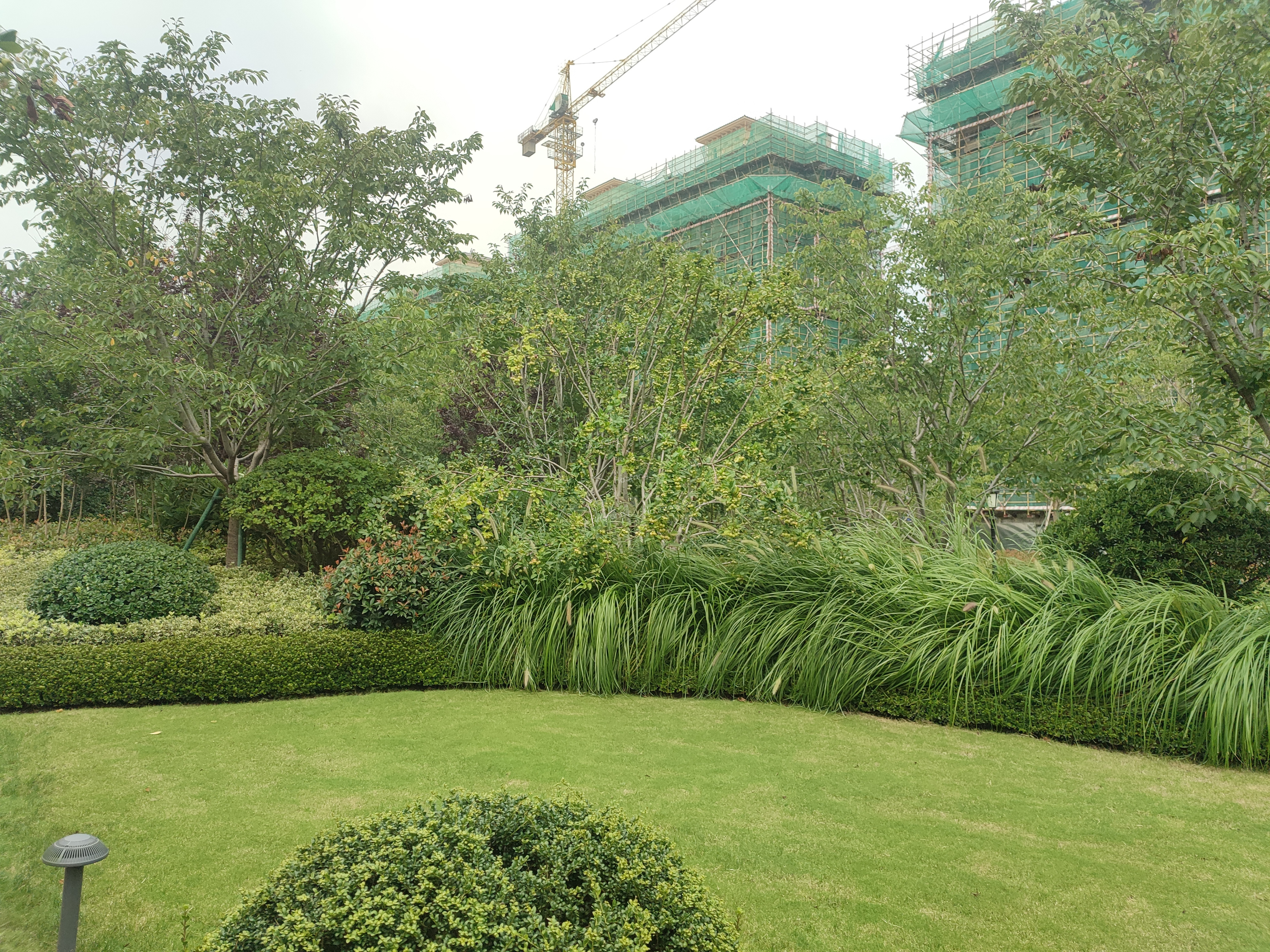 鲁信盤谷花园实景图