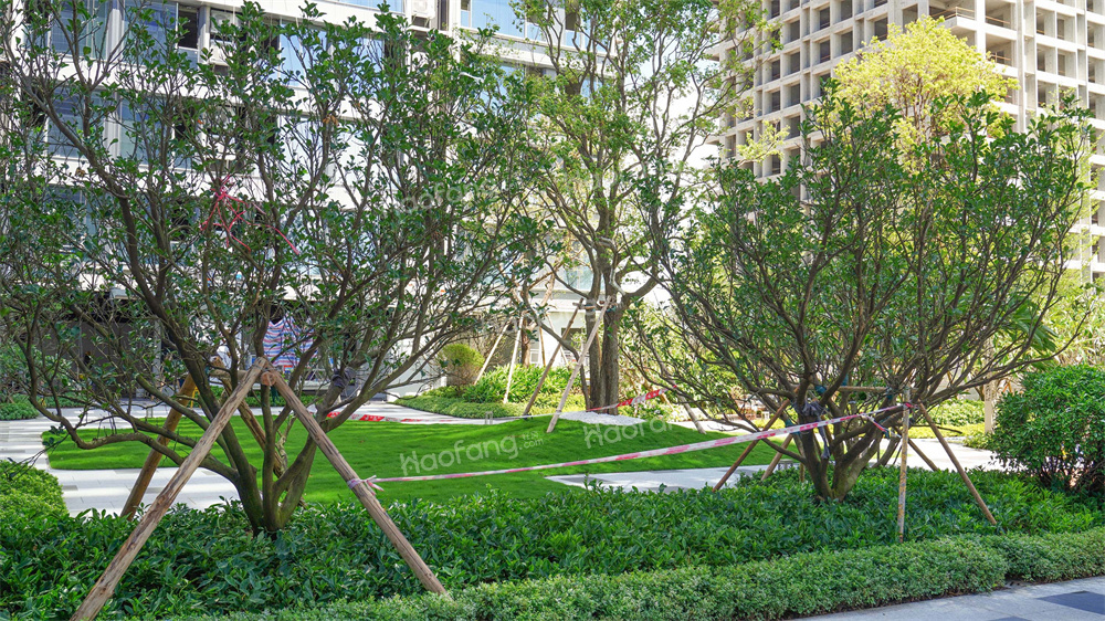 世茂港珠澳口岸城實景圖