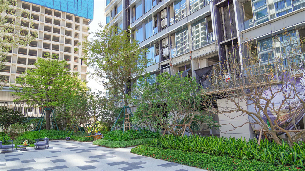 世茂港珠澳口岸城實景圖