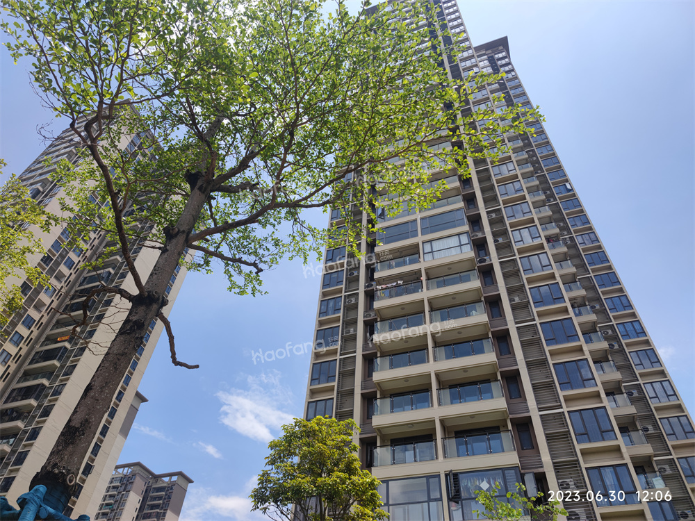 保利茉莉花園實景圖