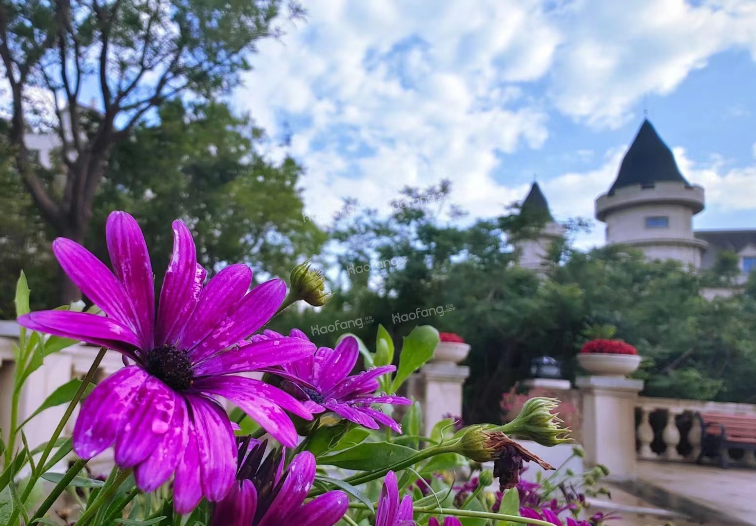 2023怀来鸿威翡翠城，洋房价格多少钱一平？