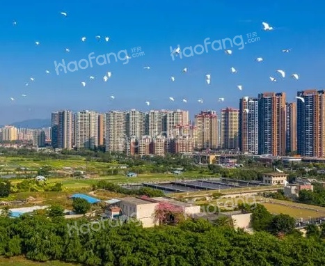 投资18.8亿，选址新火炬！深中双国企，操刀深中合作区项目