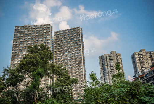 广州一户高层住宅拍出1.11亿元，平均30.5万/平方米!