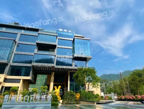 火出圈！国庆期间，又有知名港星来中山看楼了！