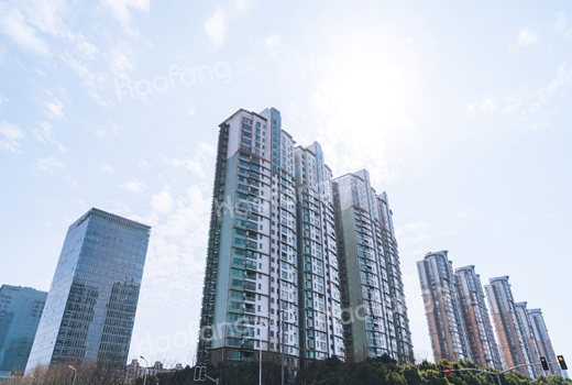 上海人买房需要具备哪些条件?上海买房的注意事项有哪些?