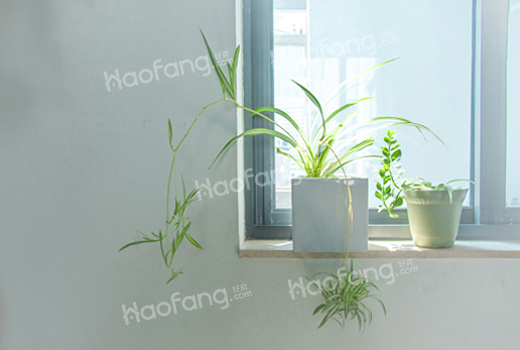 在廣州，房產(chǎn)過戶如何預(yù)約辦理?房屋過戶需要什么手續(xù)?