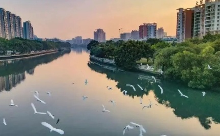 吉利集团，落址马鞍岛？