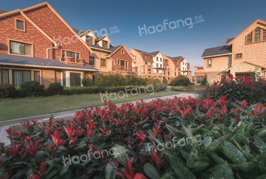 洋房和高层的区别有哪些?物业费又是怎么样的不同区别呢?