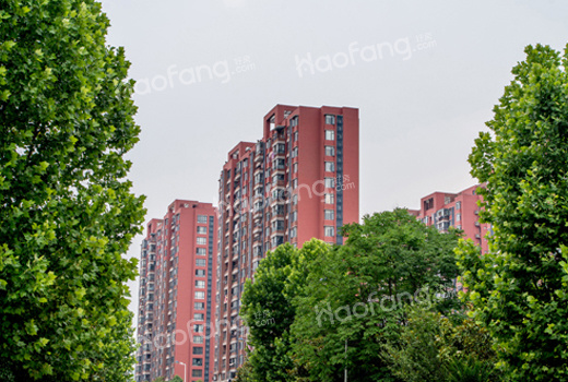 h户型是什么意思?h户型好在哪里?