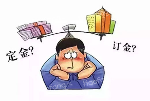 订金和定金哪个不能退?订金和定金法律上有什么区别?