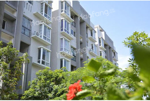 步梯黄金楼层是几楼?步梯房公摊面积一般是多少?这里有答案