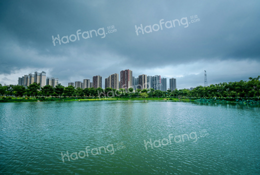 江景房的优缺点?江景房一般住多少层最好?看完明明白白!