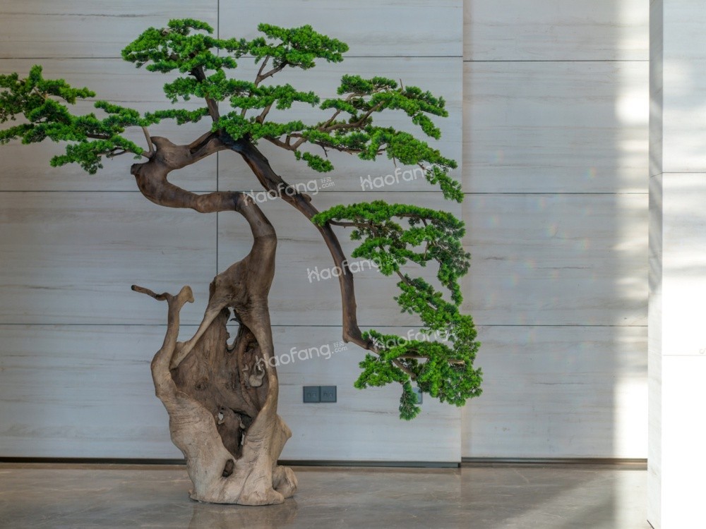 雙瑞藏瓏灣花園實景圖