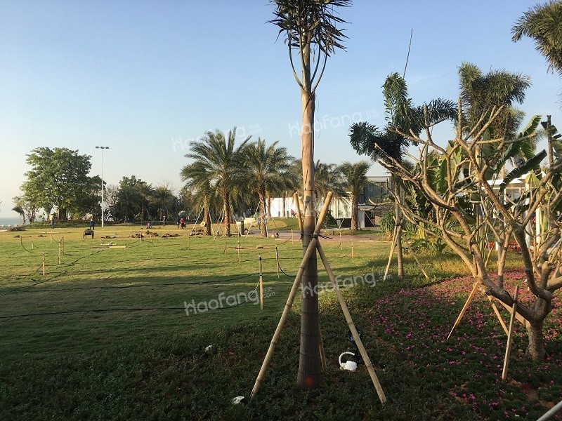 海泉灣時(shí)光序?qū)嵕皥D