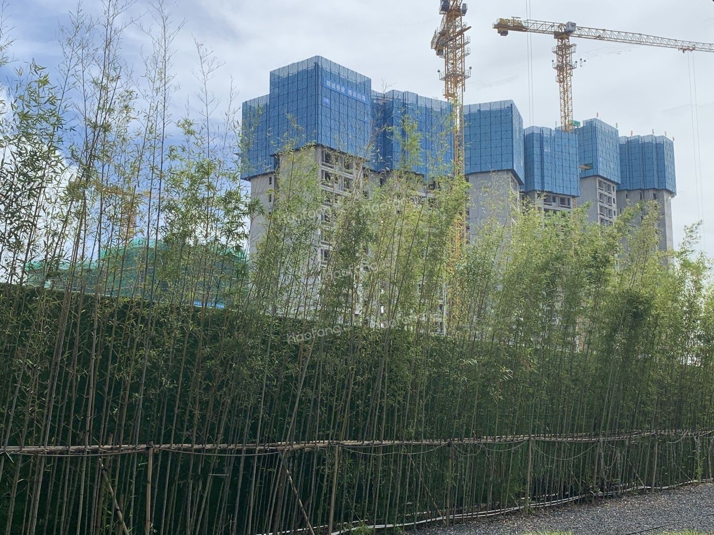 融創(chuàng)云水觀棠花園實(shí)景圖