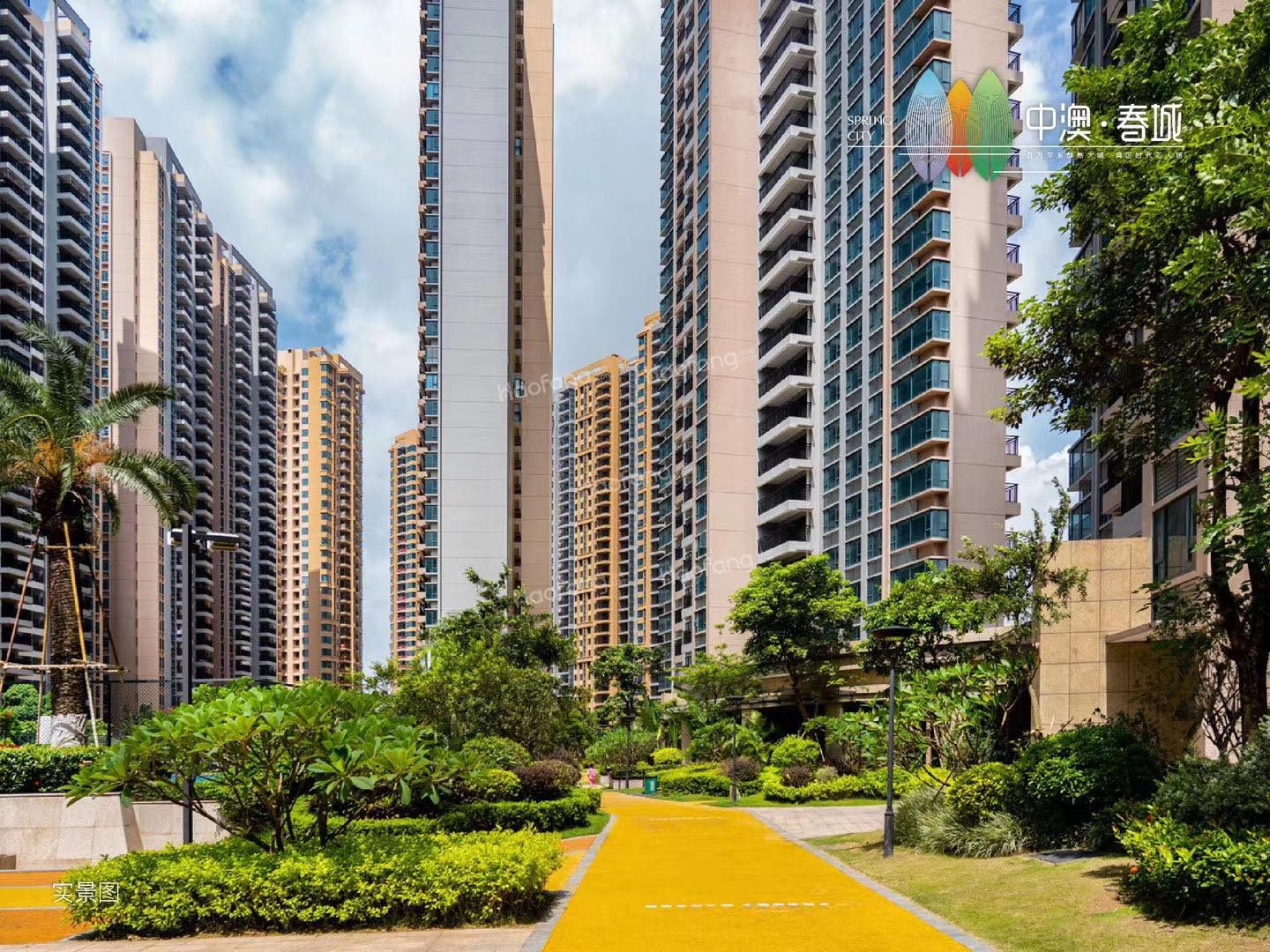 中澳春城實(shí)景圖