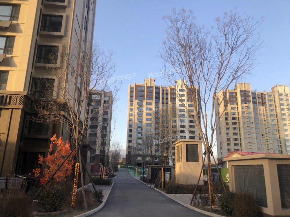 兰顿经典