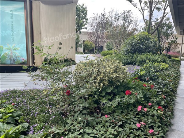 鴻基岸芷汀蘭效果圖