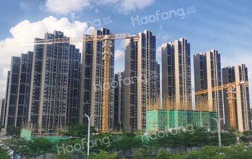 鴻基岸芷汀蘭實景圖