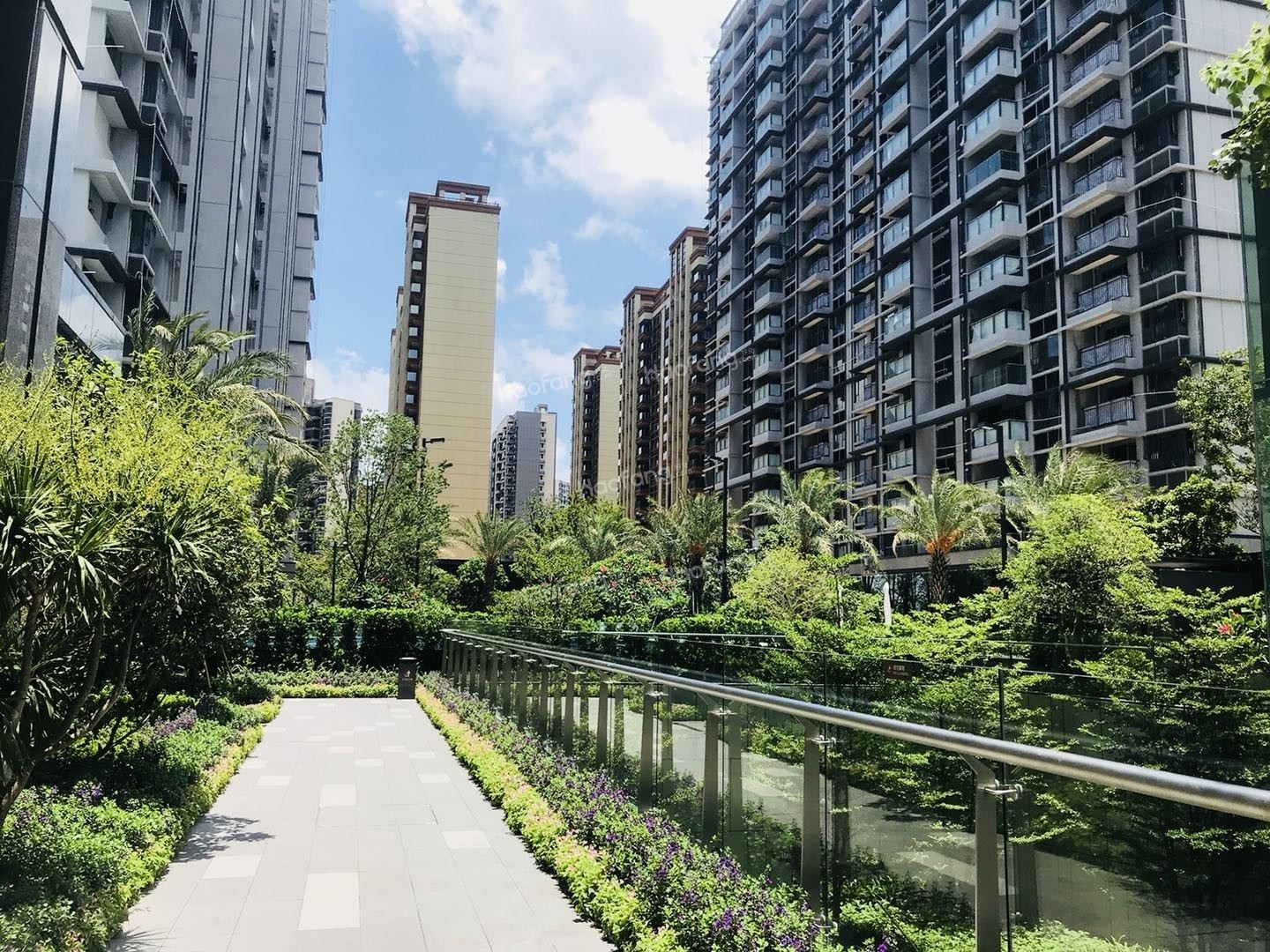 仁恒河濱花園實景圖