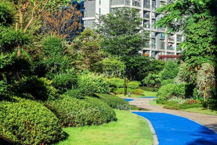 時代東方潤園實景圖