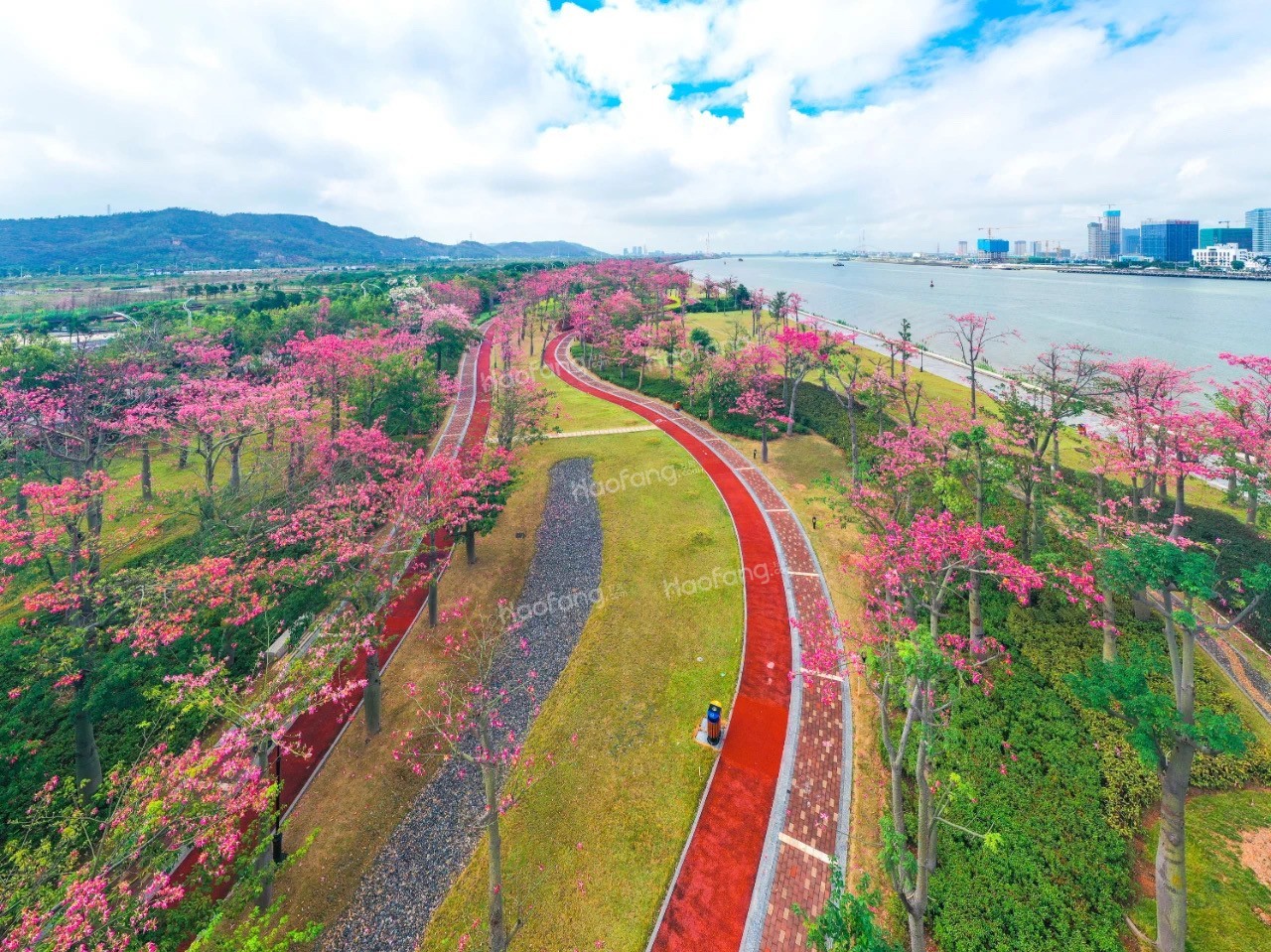 碧桂園·臻灣國(guó)際配套圖