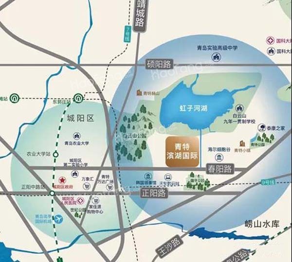 青特滨湖国际位置图