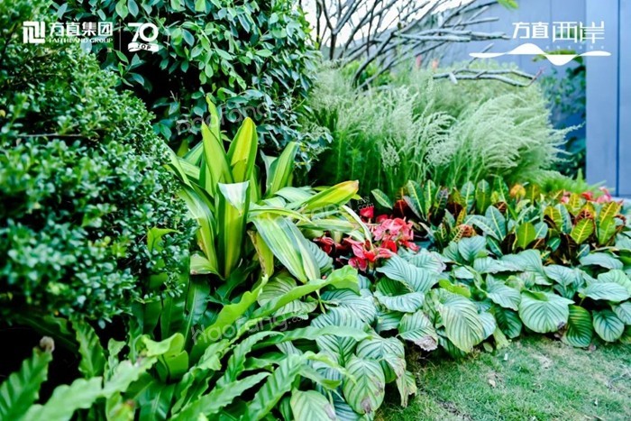 方直西岸實景圖